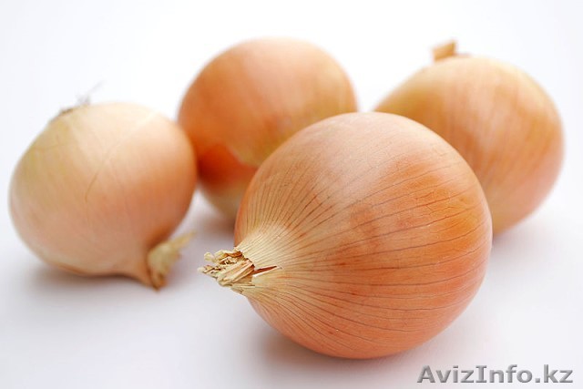 Лук репчатый хороший - Изображение #1, Объявление #442409