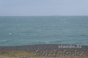 Alakol -Koktuma - Изображение #1, Объявление #602211