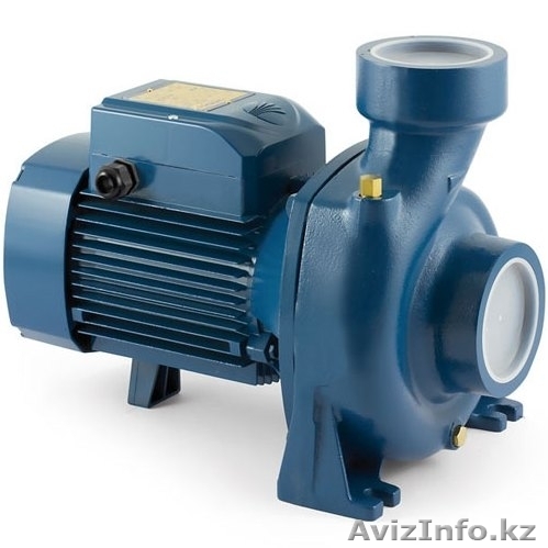 Насос центробежный HFm 70B (Pedrollo) - Изображение #1, Объявление #1627887