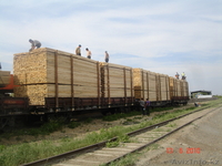 продаем обрезную и не обрезную доску - Изображение #1, Объявление #77150