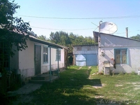 Дом со всеми дворовыми постройками - Изображение #1, Объявление #350645