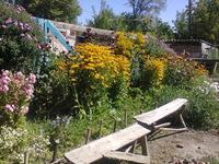 продаем земельный учаток - Изображение #1, Объявление #806894