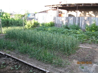 Продам дом в г.Талдыкорган, Восточный м-он - Изображение #3, Объявление #902570