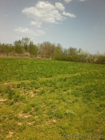 Продам участки по 10 соток под индивидуальное жилищное строительство - Изображение #7, Объявление #1267899