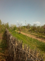 Продам участки по 10 соток под индивидуальное жилищное строительство - Изображение #4, Объявление #1267899