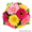 Цветы в Талдыкоргане #1169526