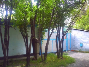 Продам дом в а.Кабанбай Алакольский район (Андреевка) - Изображение #2, Объявление #323822