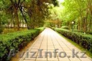 Курорт Сарыагаш