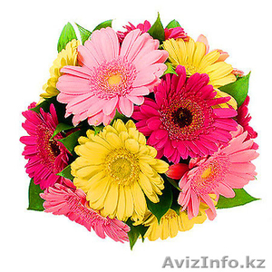 Цветы в Талдыкоргане - Изображение #1, Объявление #1169526
