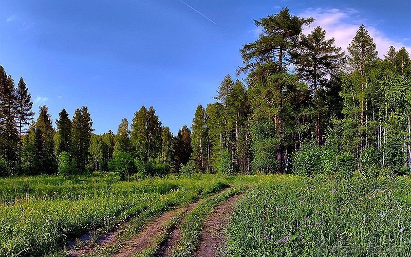 Срочно продам земельный участок - Изображение #1, Объявление #27285