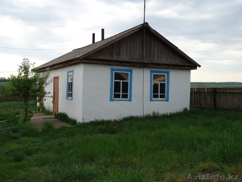 Продаю дом ВКО,100 км от Семея - Изображение #2, Объявление #73308