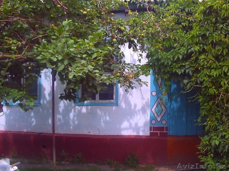 Продам дом в а.Кабанбай Алакольский район (Андреевка) - Изображение #5, Объявление #323822