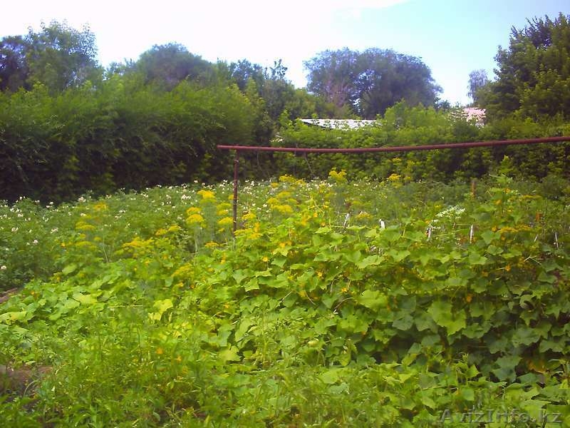 Продам дом в а.Кабанбай Алакольский район (Андреевка) - Изображение #9, Объявление #323822