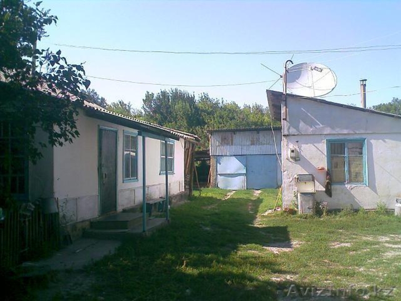 Дом со всеми дворовыми постройками - Изображение #1, Объявление #350645