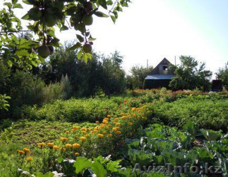 Шикарная усадьба и дом со всеми удобствами - Изображение #2, Объявление #340559