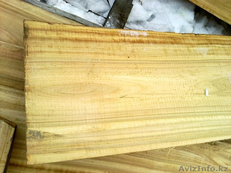 Столярный лес серебристый тополь доска 20-50х5,5х600см - Изображение #2, Объявление #538642