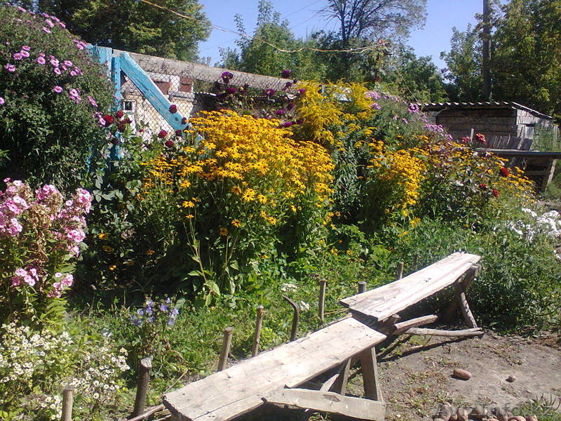 продаем земельный учаток - Изображение #1, Объявление #806894