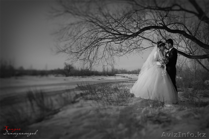 Фотограф Талдыкорган - Изображение #6, Объявление #1011902