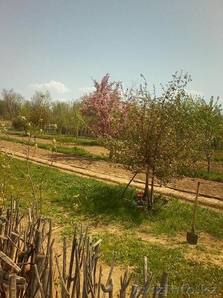 Продам участки по 10 соток под индивидуальное жилищное строительство - Изображение #9, Объявление #1267899