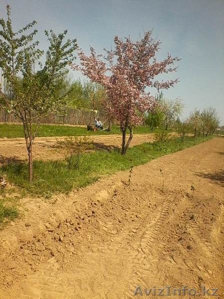 Продам участки по 10 соток под индивидуальное жилищное строительство - Изображение #8, Объявление #1267899