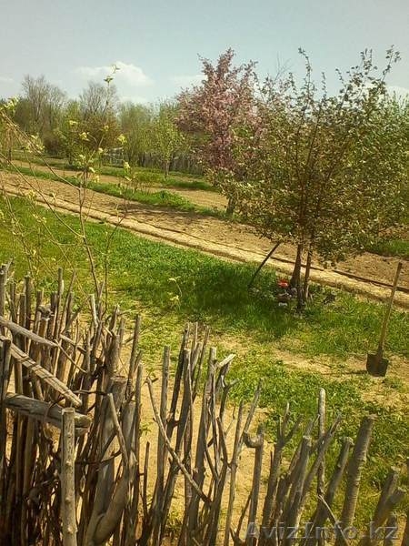 Продам участки по 10 соток под индивидуальное жилищное строительство - Изображение #1, Объявление #1267899