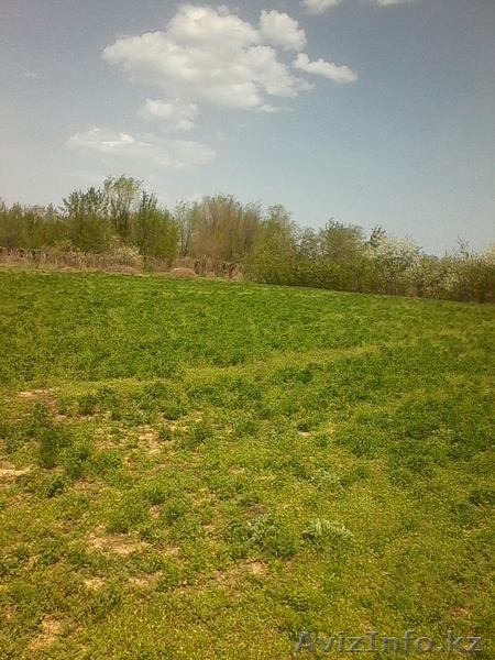 Продам участки по 10 соток под индивидуальное жилищное строительство - Изображение #7, Объявление #1267899