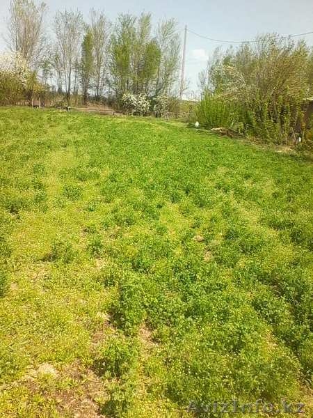 Продам участки по 10 соток под индивидуальное жилищное строительство - Изображение #6, Объявление #1267899