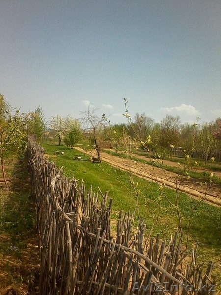 Продам участки по 10 соток под индивидуальное жилищное строительство - Изображение #4, Объявление #1267899